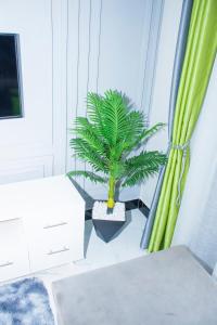 a room with a potted plant next to a window at Cozy Oasis in Kampala