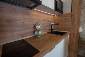 una piccola cucina con lavandino e piano di lavoro di Green Hill Isidorovic Divcibare a Divčibare