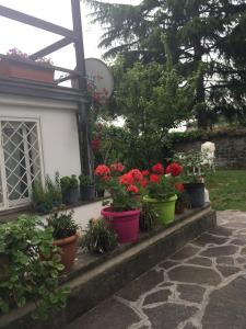 Vonkajšia záhrada v ubytovaní Apartment Whenlifeisbetter