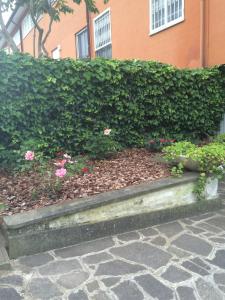 Vonkajšia záhrada v ubytovaní Apartment Whenlifeisbetter
