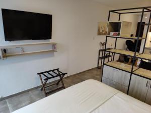 Televízia a/alebo spoločenská miestnosť v ubytovaní La Merced Apart