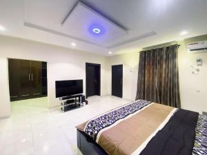 Televisyen dan/atau pusat hiburan di Captivating 5-Bed house pent house in Lekki Lagos