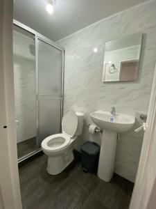 uma casa de banho com um WC, um lavatório e um chuveiro em Acogedor Apartamento Pequeño e Independiente em Bogotá