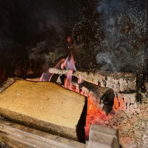 un fuego con un pedazo de madera encima en Chatka Niedźwiadka en Uście Gorlickie