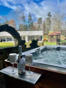 - Botella de champán y 2 copas de vino frente a la piscina en Penzion Tadeášovy domky, en Hajnice