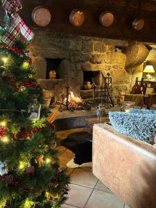 una sala de estar con un árbol de Navidad y una chimenea en La Maison de Paul en Aubrac - Lozère, en Fontans