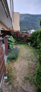 a house with a fence with red roses at Sunny-Nest, Garden Apartment in Leukerbad
