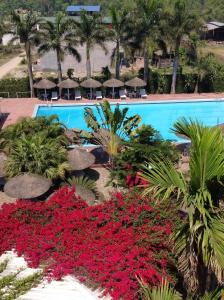 Bazén v ubytování Siddhartha Hotel Narayangarh nebo v jeho okolí