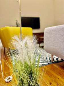 un soggiorno con una pianta in vaso su un tavolo di Ladomar Matriz a Horta