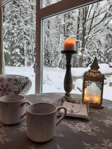 Mellene 1 bedroom house in nature & hot tube v zimě