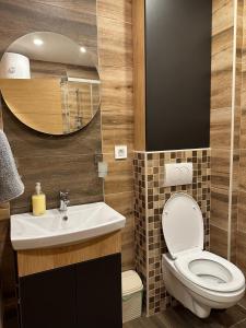 a bathroom with a toilet and a sink and a mirror at Sofija Apartman Zlatibor in Zlatibor