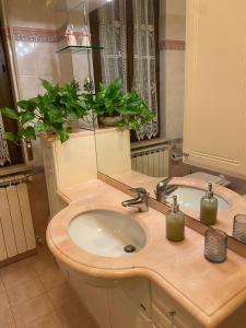 a bathroom with a sink with a mirror and two plants at CASA VACANZE Da Mario Lu Ciclista in Spello +31 photos