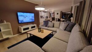 ein Wohnzimmer mit einem Sofa und einem TV in der Unterkunft A Modern Home in Nature's Embrace in Tromsø