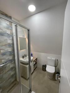 e bagno con doccia, servizi igienici e lavandino. di KoCHALET Apartment a Crni Vrh