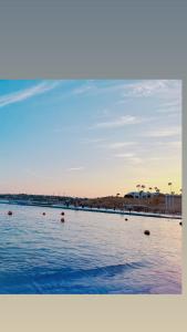 a large body of water with a beach and palm trees at Domina coral bay elisir SPA in Sharm El Sheikh