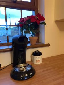 una macchinetta del caffè nera seduta su un bancone con una pianta di Montana a Castlewellan