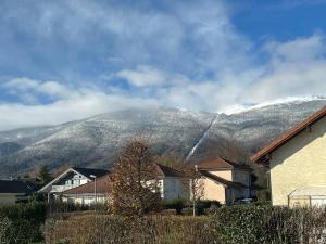 a mountain in the distance with houses and trees at Villa ski proche de Genève et du Jura in Saint-Genis-Pouilly