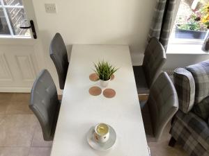 einem weißen Tisch mit Stühlen und einer Pflanze darauf in der Unterkunft Ballinacross Lodge 