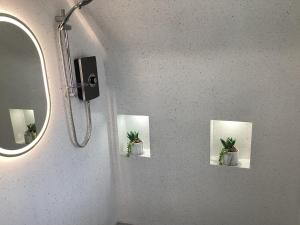 ein Badezimmer mit drei Topfpflanzen an der Wand in der Unterkunft Ballinacross Lodge 
