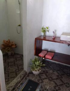 a bathroom with a sink and a counter with a plant at Pondok Lestari Kadidiri in Batudaka