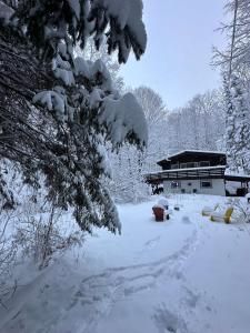 um quintal coberto de neve com um edifício ao fundo em Chalet dans les arbres. 3 ch. /trees house 3bdr em Lac Sainte-Marie