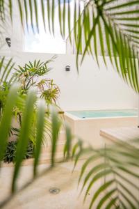 a view of the ocean from a room with plants at acogedora casa con hospedaje para 2 personas in Chetumal