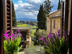 a view from the window of a house with purple flowers at Lovely 2 Bedroom in San Gimignano Historic Center in San Gimignano