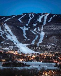 モントランブランにあるLAÖ Lodge Tremblant - VIEWのギャラリーの写真