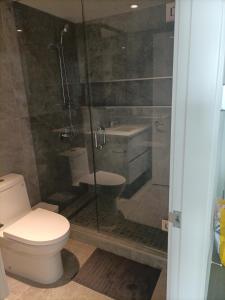 La salle de bains est pourvue de toilettes et d'une douche en verre. dans l'établissement Richmond center apartment, à Richmond