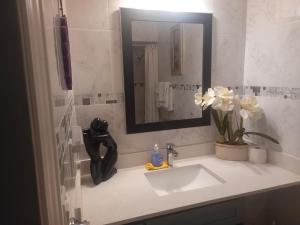 a bathroom sink with a mirror and a vase of flowers at WaterfrontHome-RiverView, Windsor ,Canada in Windsor