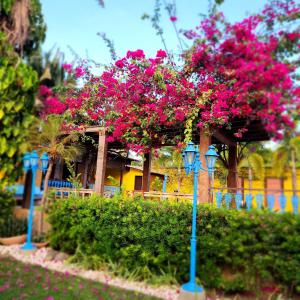a bunch of pink flowers on a building with blue poles at CASA IMPERIAL HOTEL POUSADA in São Luís