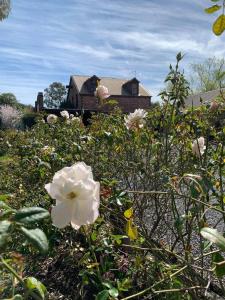 a field of flowers with a house in the background at Olde Horsham Motor Inn in Horsham