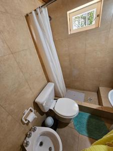 a small bathroom with a toilet and a shower at Alerce Bariloche in San Carlos de Bariloche
