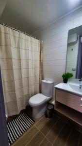 ein Bad mit einem WC und einem Waschbecken in der Unterkunft Bello departamento en Bahia Inglesa in Bahia Inglesa
