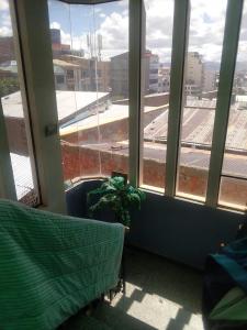 una camera con finestra e una pianta su una sedia di Casa Ballesteros Rodríguez a Oruro