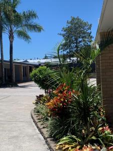 a group of plants in front of a building at Shady Rest Motel in Gympie