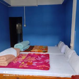 a bed in a room with a blue wall at Hotel Dirang Buddha Dirang in Dirang Dzong
