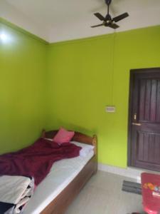 Dirang Dzong的住宿－Hotel Dirang Buddha Dirang，一间带绿色墙壁的卧室和一张带风扇的床