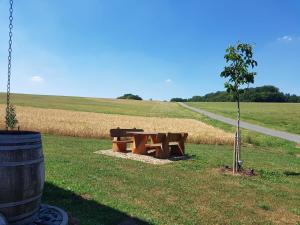 a picnic table in a field next to a tree at Steirer-Hof in Vöhl