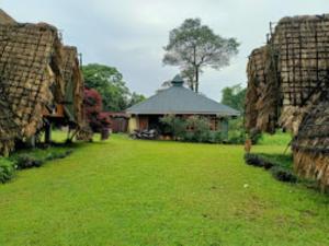 duży dziedziniec z budynkiem w tle w obiekcie Namdapha Jungle Camp Miao 