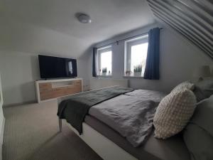 een slaapkamer met een bed en een flatscreen-tv bij MV Idyll in Dahmen