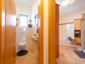 a bathroom with a toilet and a sink at Exclusive panoramic apartment in Niedernsill in Niedernsill