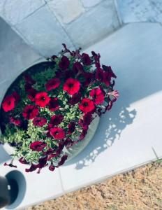 マウンにあるLuna Holiday Homeの赤い花の鉢