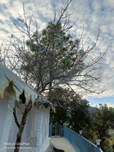 Příroda nedaleko luxury tent