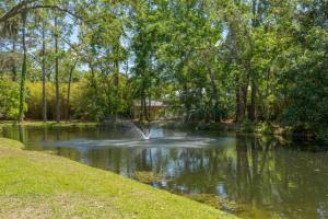 a pond with a fountain in the middle of a park at Harbour Oaks 604 in Saint Simons Island