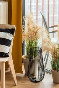 a chair and potted plants in front of a window at Sunny Coast Studio in Pobierowo by Renters in Pobierowo