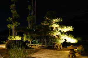 a fire hydrant in front of a tree at night at 京ごはんと露天風呂の宿 ゆのはな 月や 