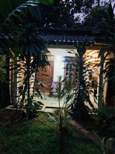 una casa de noche con una puerta y palmeras en Sigiri Sunanda Home Stay en Sigiriya