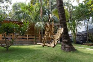a hammock hanging from a tree in a yard at Rockit Cafe & Stay in Palolem