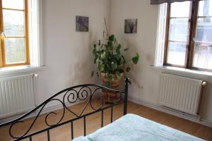 a bedroom with a bed and a potted plant at Ferienwohnung Klint 2 in Dellstedt